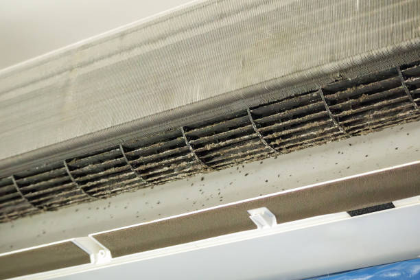 Best Ductwork Cleaning Services  in Bonners Ferry, ID
